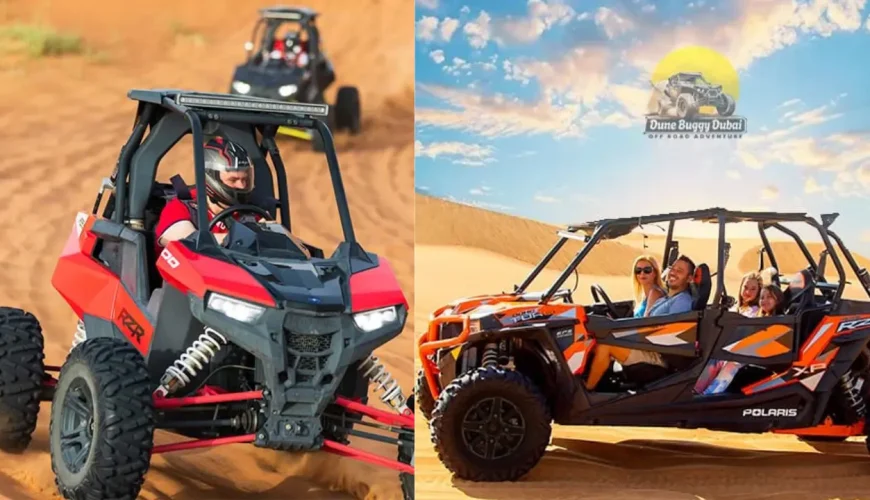 1 Seater Buggy vs 4 Seater Buggy