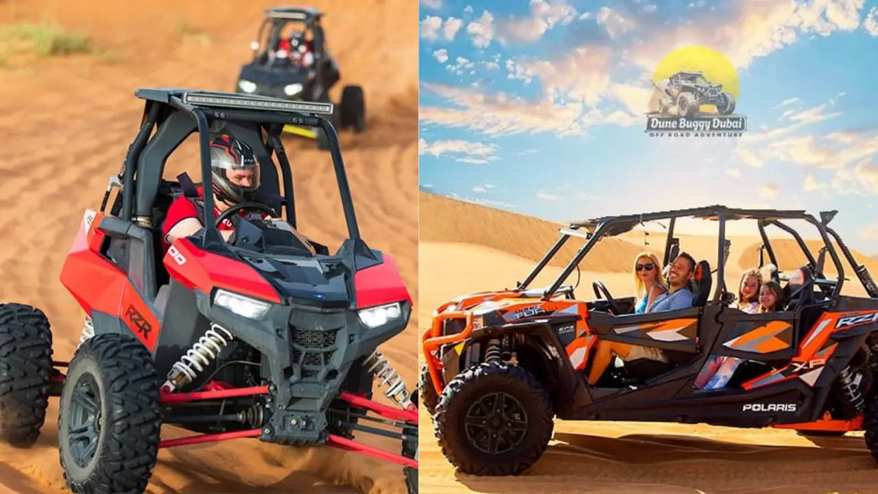 1 Seater Buggy vs 4 Seater Buggy