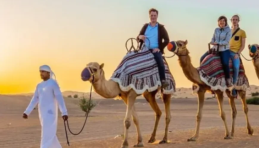 camel ride in desert safari