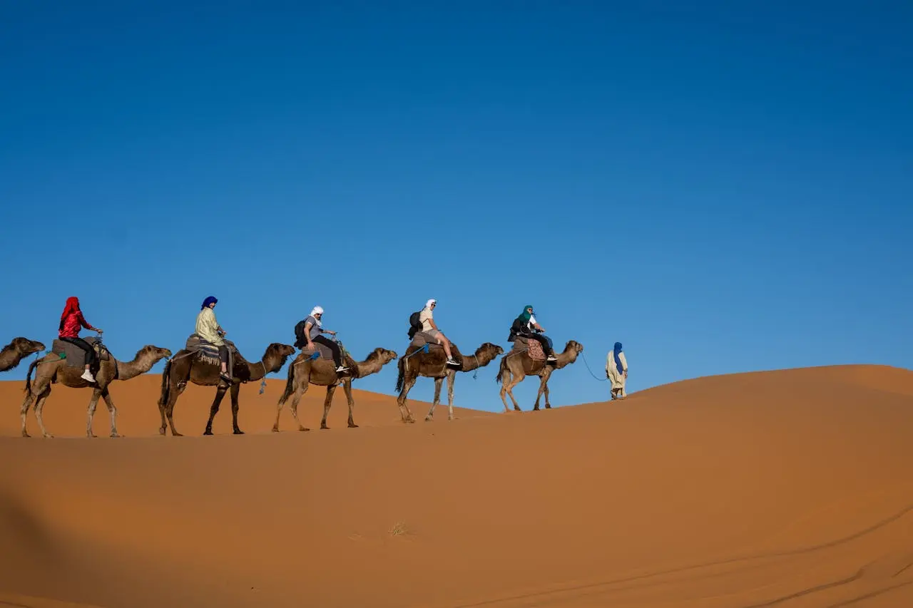Sunrise Camel Trekking in Dubai 9 sunrise camel ride in desert safari