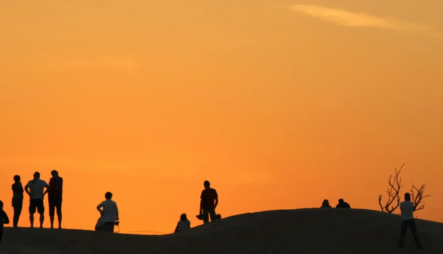 VIP Desert Safari with BBQ