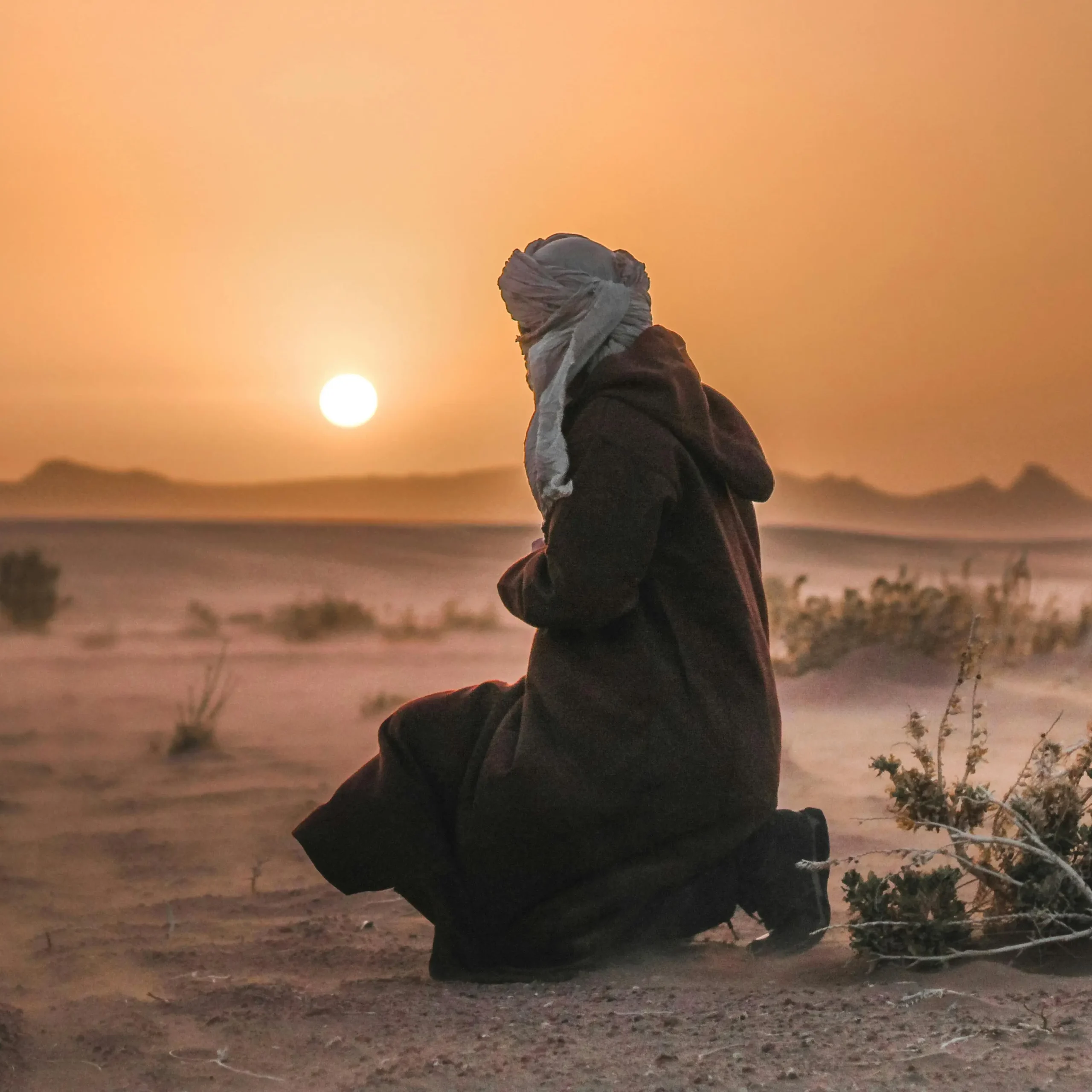 Arabian Heritage Tour: A Complete Travel Guide 3 arabian desert heritage