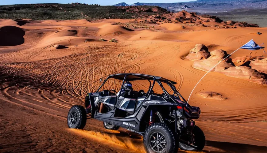 VIP Dune Buggy Low Price