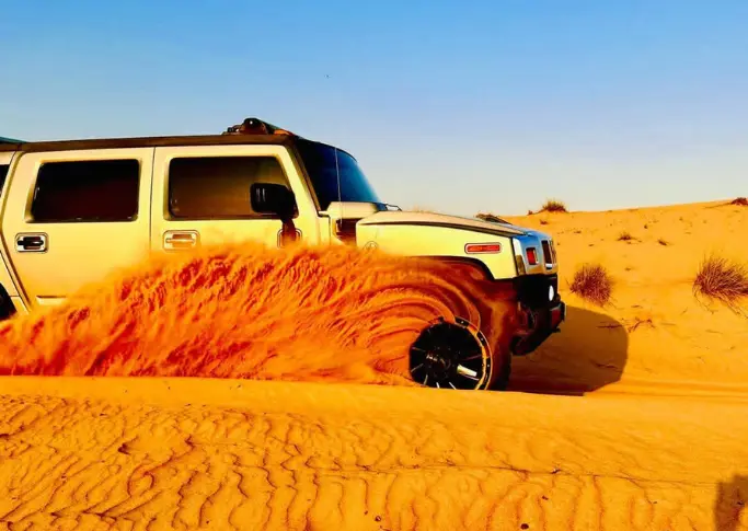 Contact Us 3 VIP Desert Safari Seating